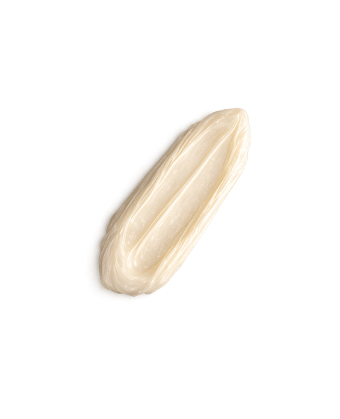 Насыщенная питательная маска для поврежденных волос Shiseido Fino Premium Touch MO-1822 фото