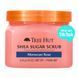 Цукровий скраб "Мароканська троянда" TREE HUT MOROCCAN ROSE SUGAR SCRUB, 510г M01049 фото 1