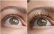 Стойкая тушь для ресниц Heimish Dailism Smudge Stop Mascara M00359 фото 4
