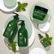 Шампунь для жирных волос увлажняющий Luseta Beauty Tea Tree & Argan Oil 500 мл M01338 фото 4
