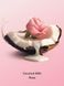 Подарунковий набір міст+лосьйон Victoria's Secret Coconut Milk Rose 2-Piece Gift Set МО1673 фото 3
