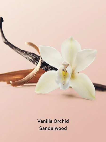 Подарунковий набір міст+лосьйон Victoria's Secret Vanilla Orchid Sandalwood 2-Piece Gift Set МО1674 фото