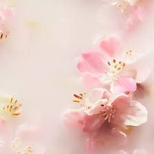 Подарочный набор The Ritual of Sakura от Rituals size M 6789 фото