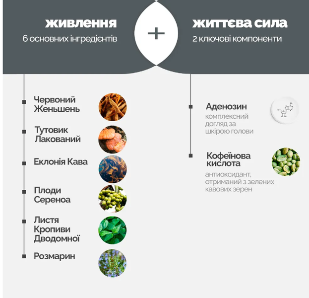 Стимулирующий тоник для роста волос Dr.FORHAIR Folligen Tonic M00289 фото