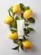 Увлажняющий крем с витамином С для сияния кожи Needly Vita C glow toning cream, 10 ml M00722 фото 3